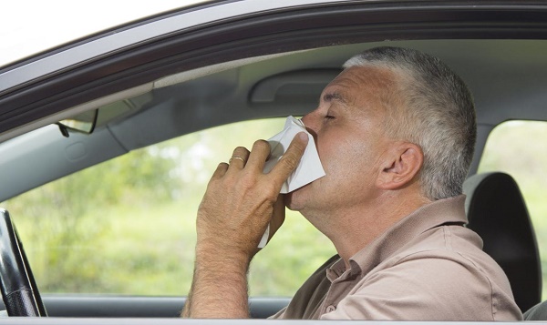 Por qué la DGT advierte a los conductores del peligro de la alergia al volante-1