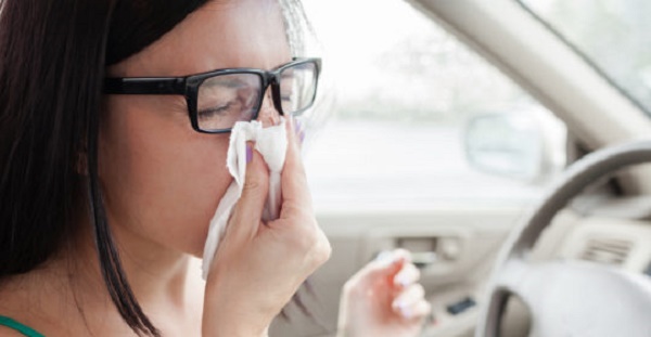 Por qué la DGT advierte a los conductores del peligro de la alergia al volante-2